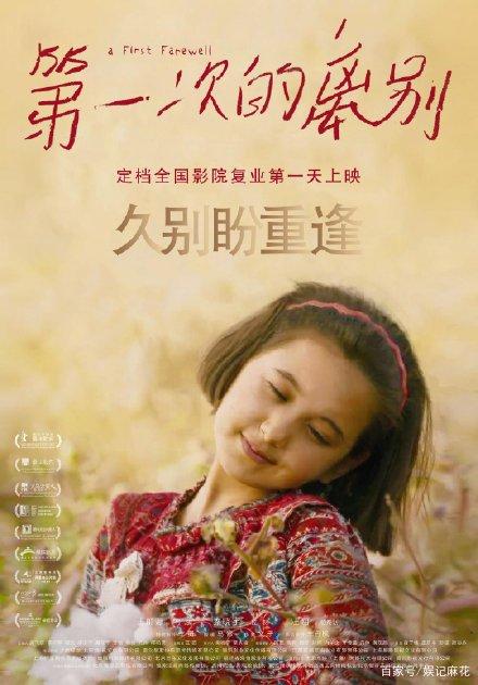 海斯廷斯办理假驾驶证